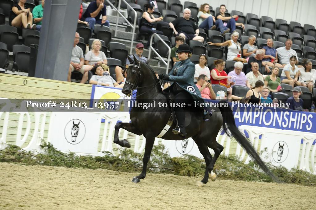 Proof Number 24R13_13957