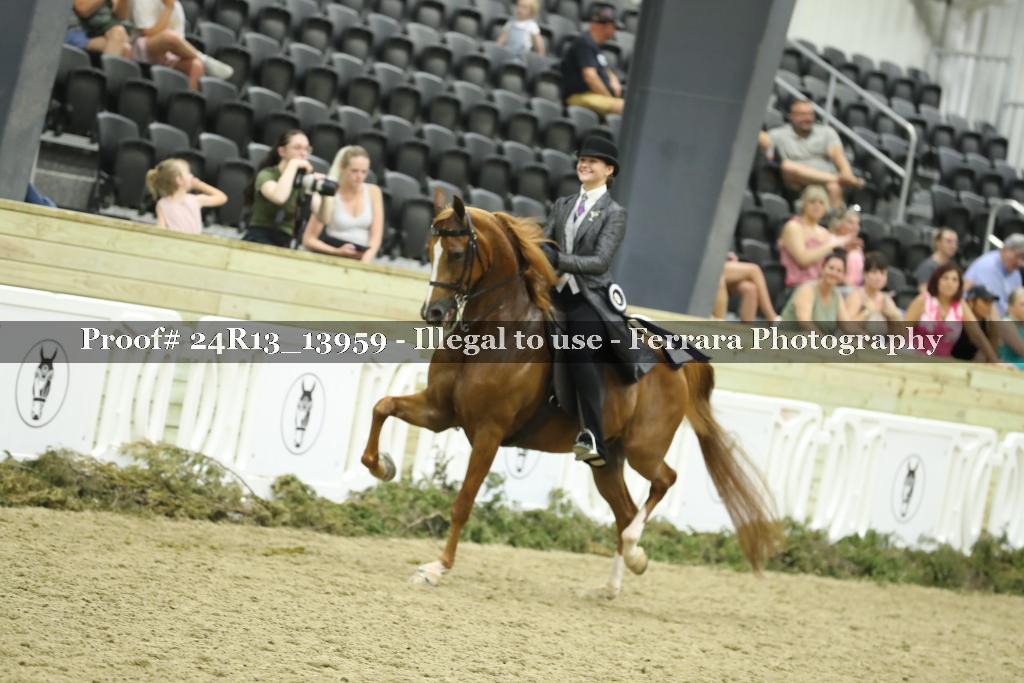 Proof Number 24R13_13959