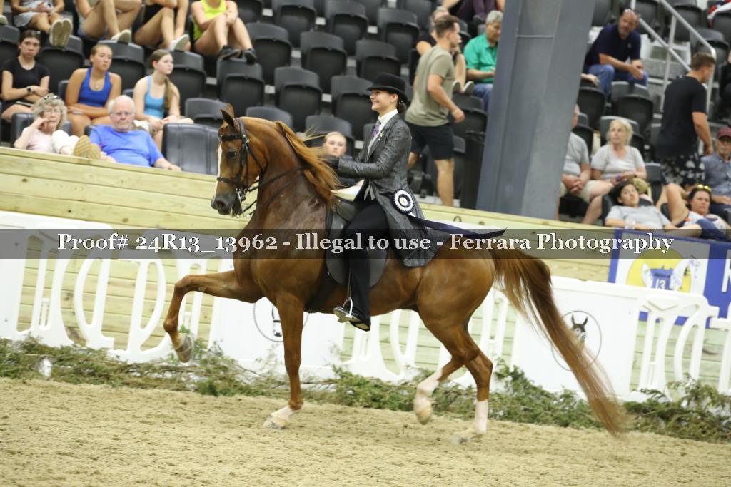 Proof Number 24R13_13962