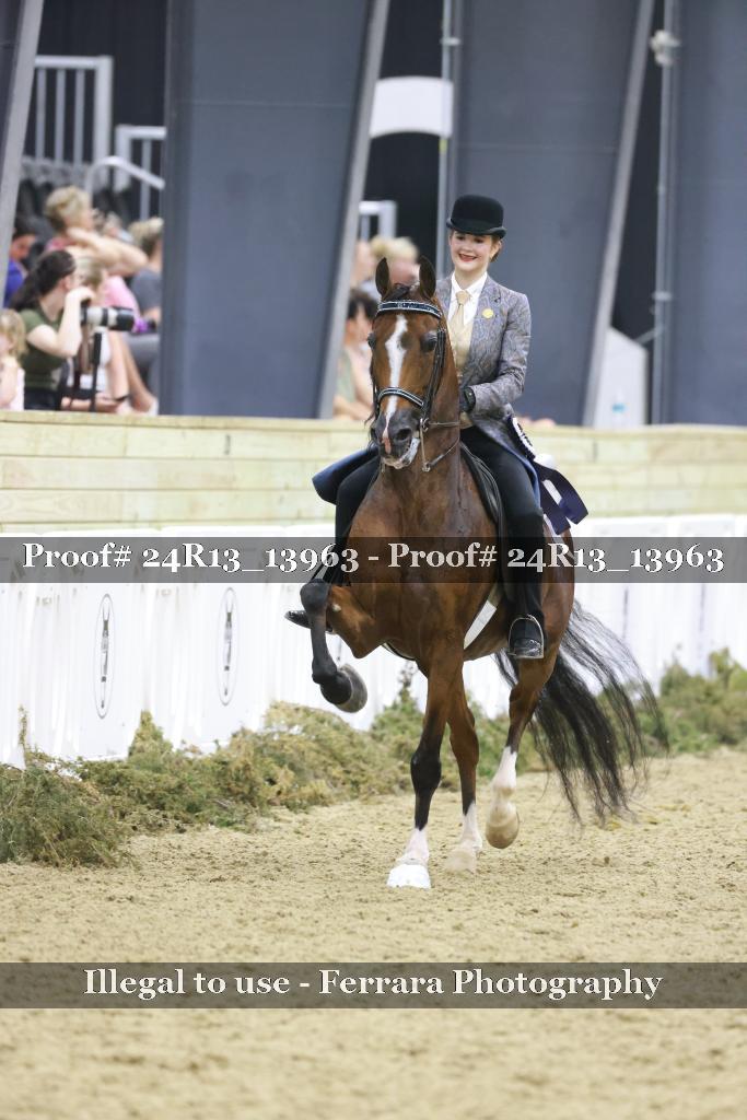 Proof Number 24R13_13963