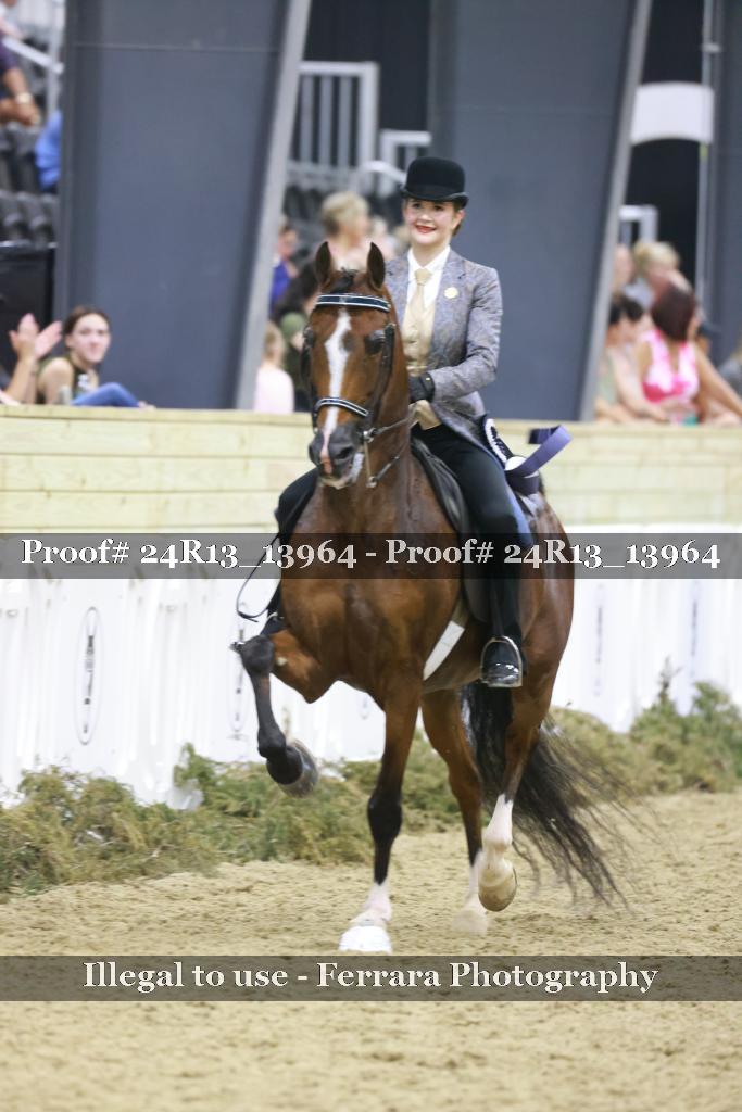 Proof Number 24R13_13964