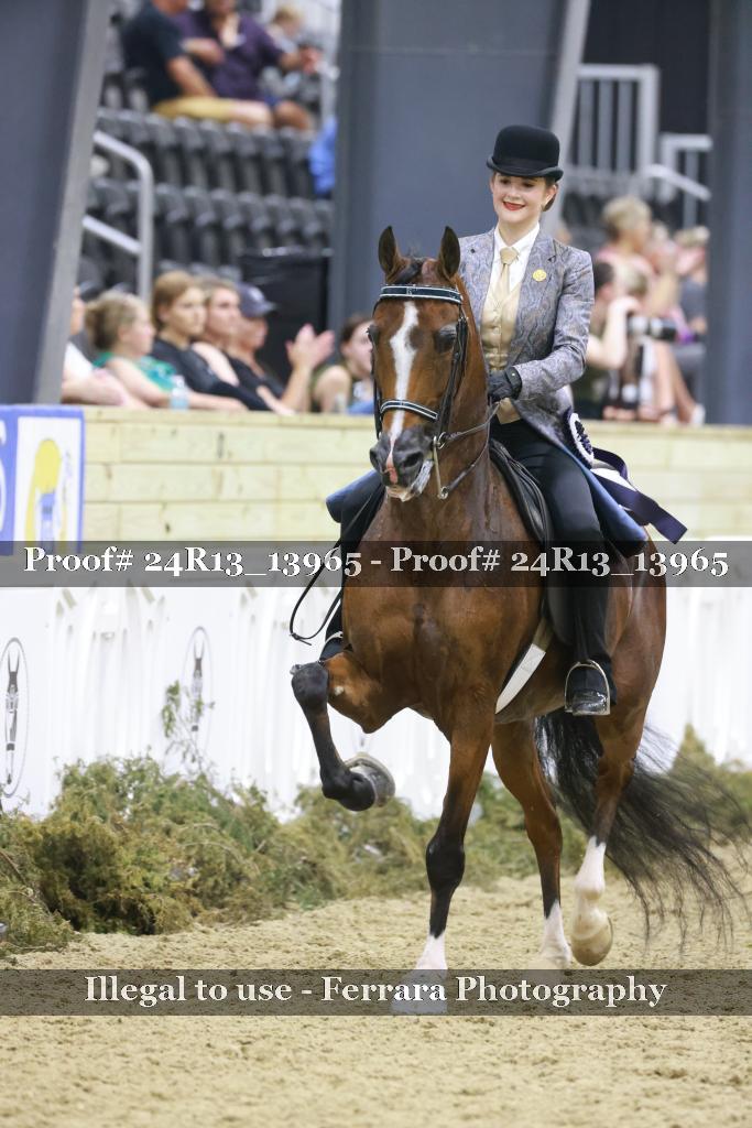 Proof Number 24R13_13965