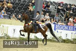 24R13_13971 thumbnail