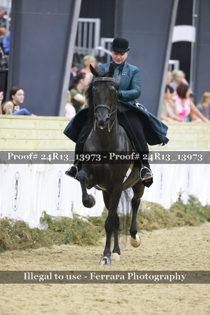 Proof Number 24R13_13973