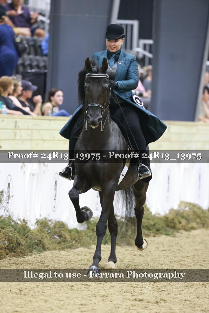 Proof Number 24R13_13975