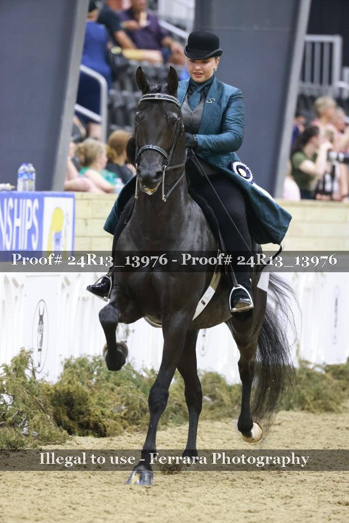 Proof Number 24R13_13976