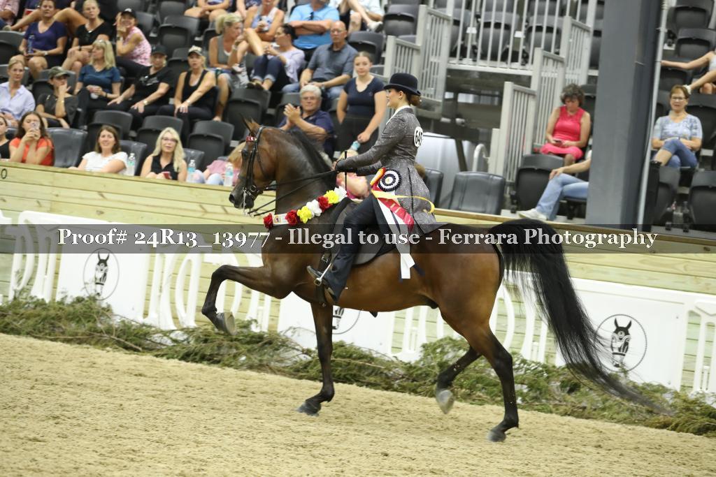 Proof Number 24R13_13977