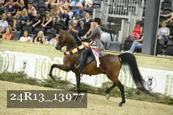 24R13_13977 thumbnail