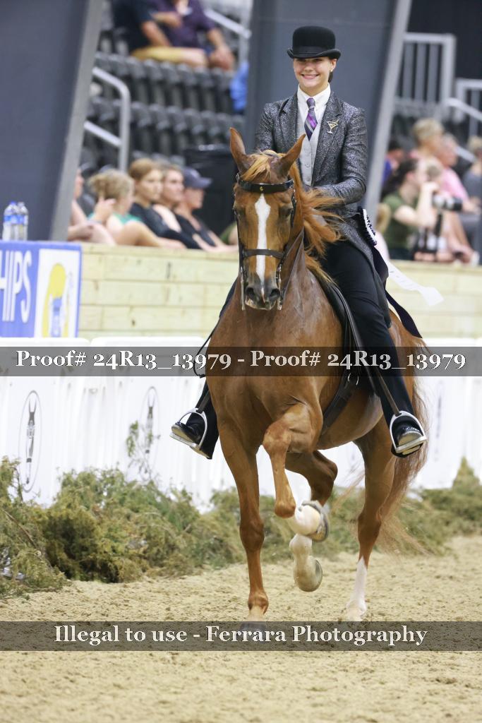 Proof Number 24R13_13979
