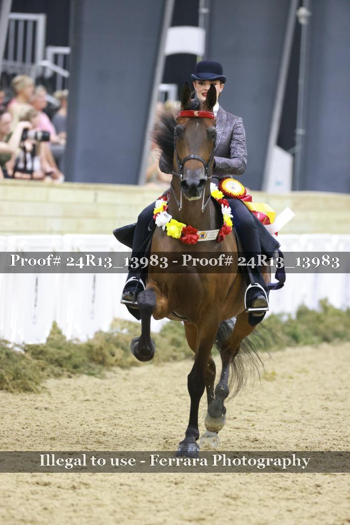 Proof Number 24R13_13983