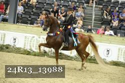 24R13_13988 thumbnail