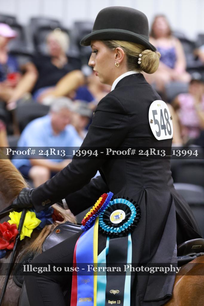 Proof Number 24R13_13994