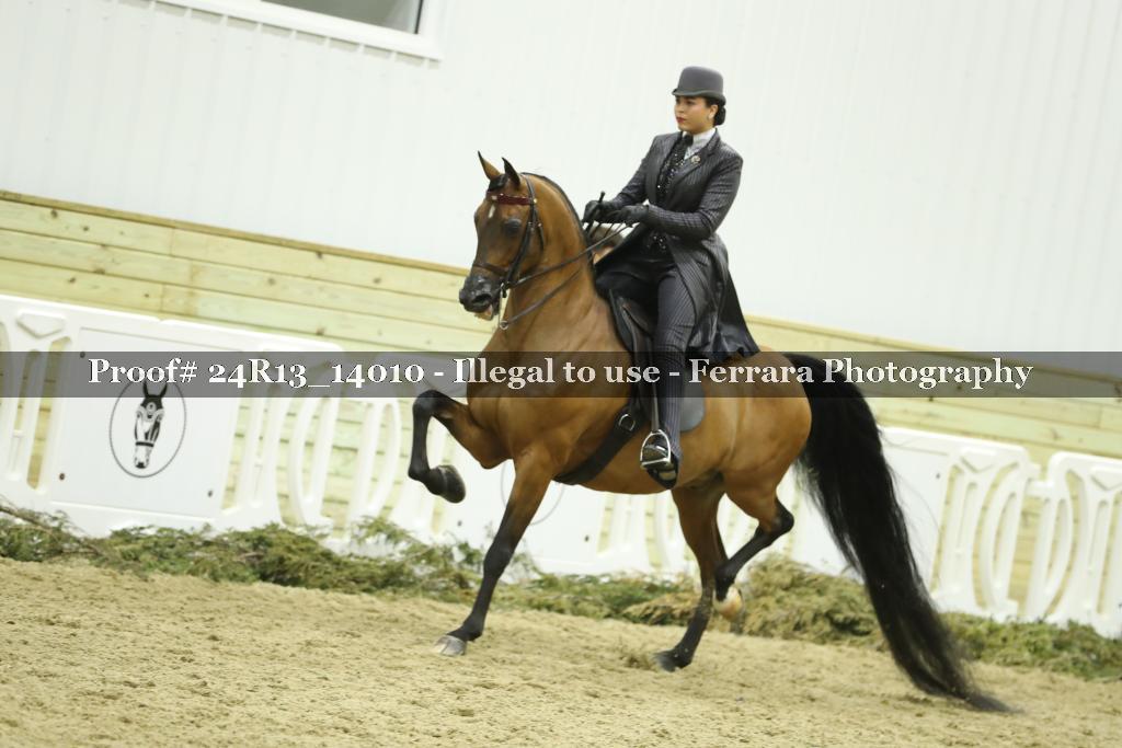 Proof Number 24R13_14010
