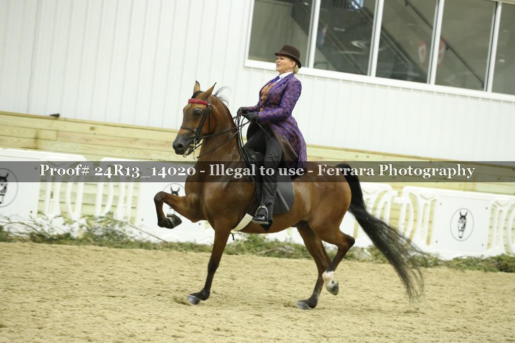 Proof Number 24R13_14020