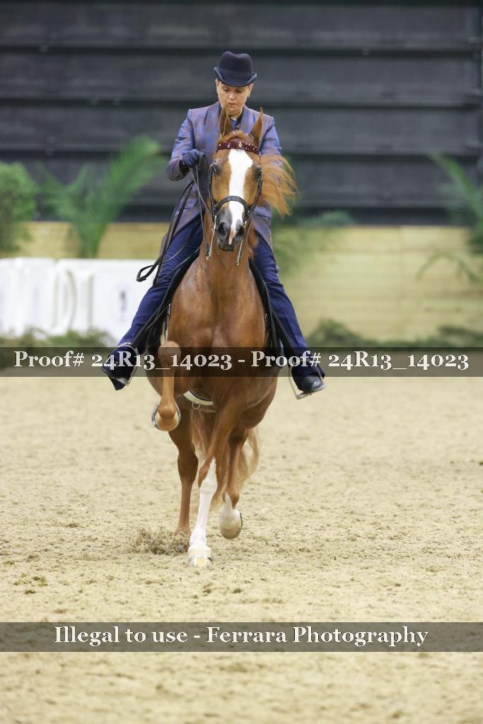 Proof Number 24R13_14023
