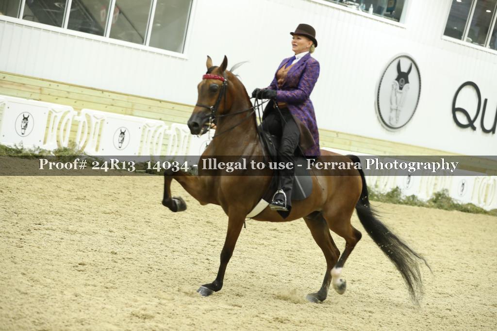 Proof Number 24R13_14034