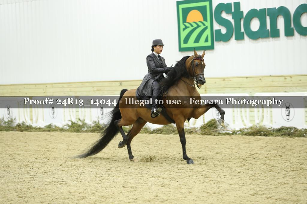 Proof Number 24R13_14044
