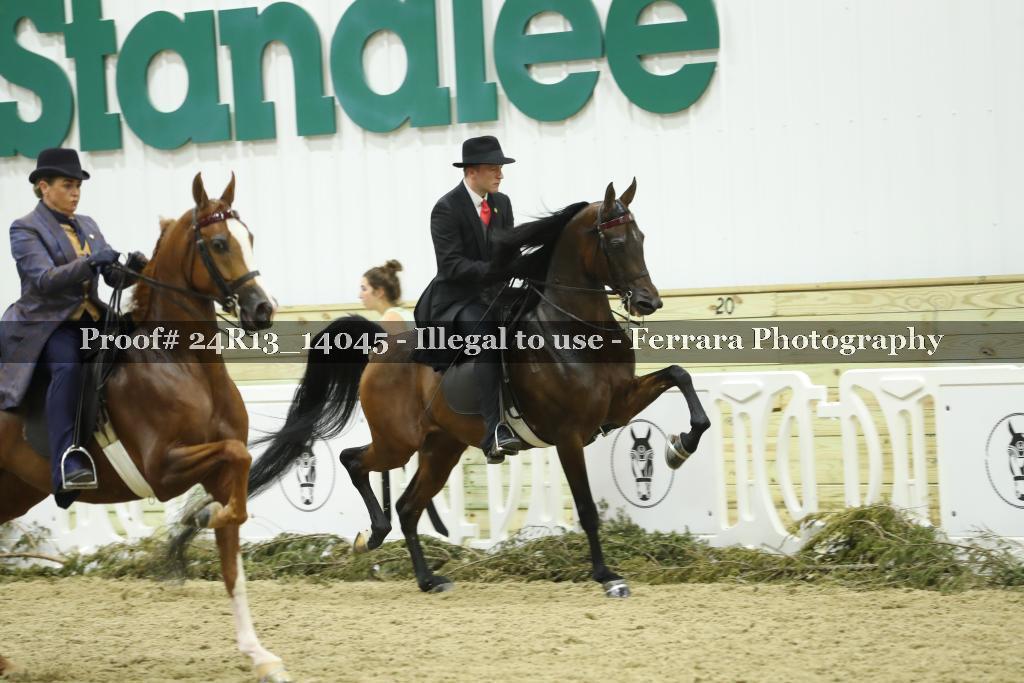 Proof Number 24R13_14045