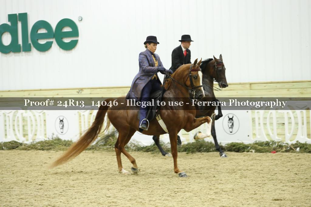 Proof Number 24R13_14046