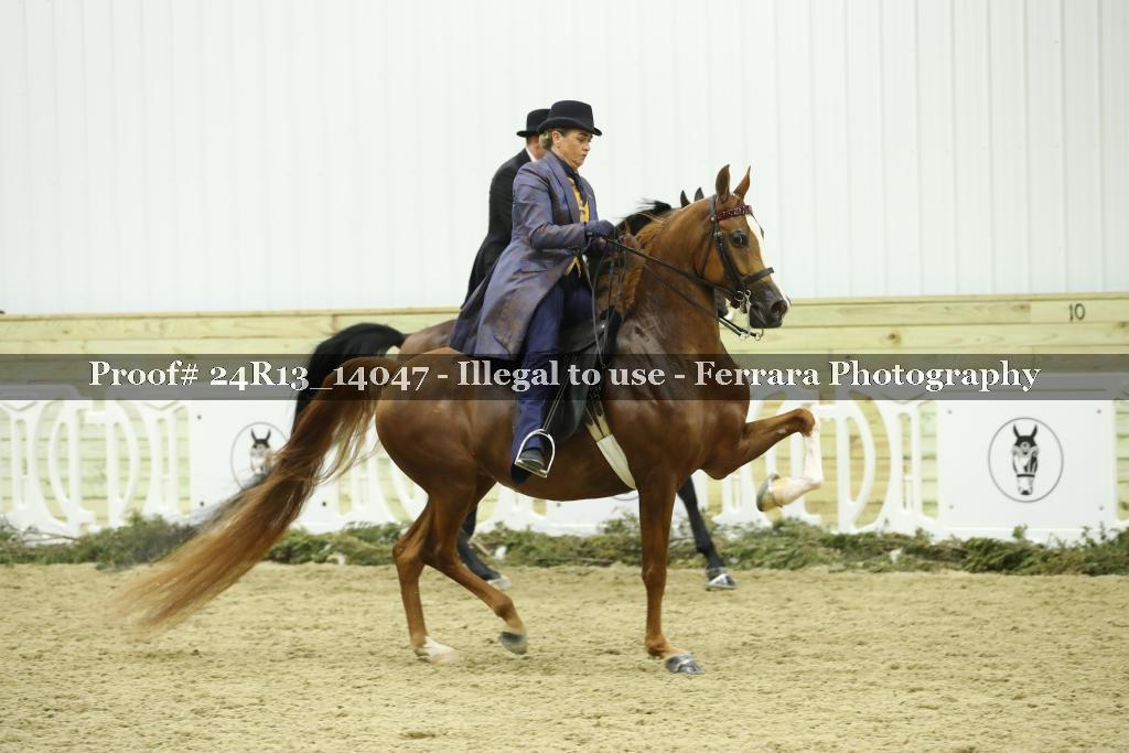 Proof Number 24R13_14047