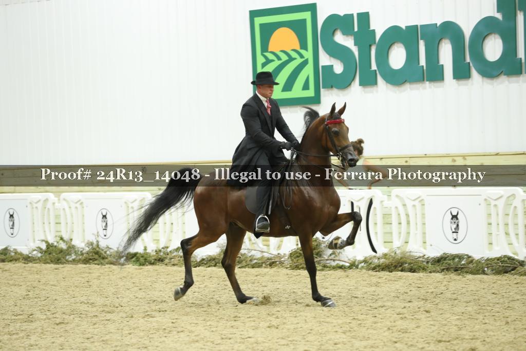 Proof Number 24R13_14048