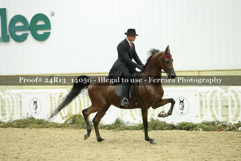 Proof Number 24R13_14050