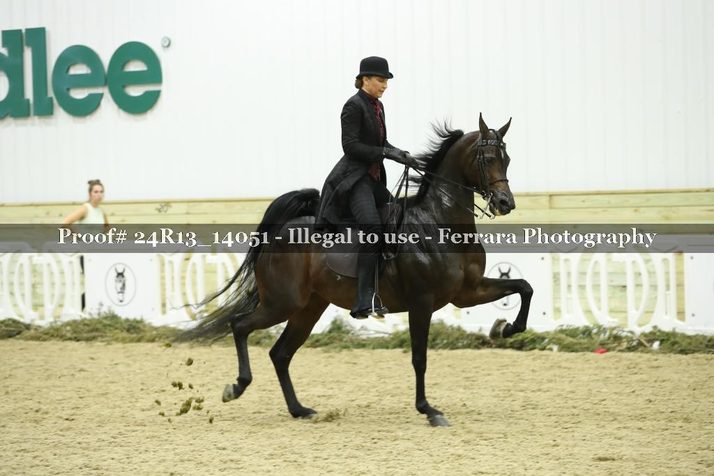 Proof Number 24R13_14051