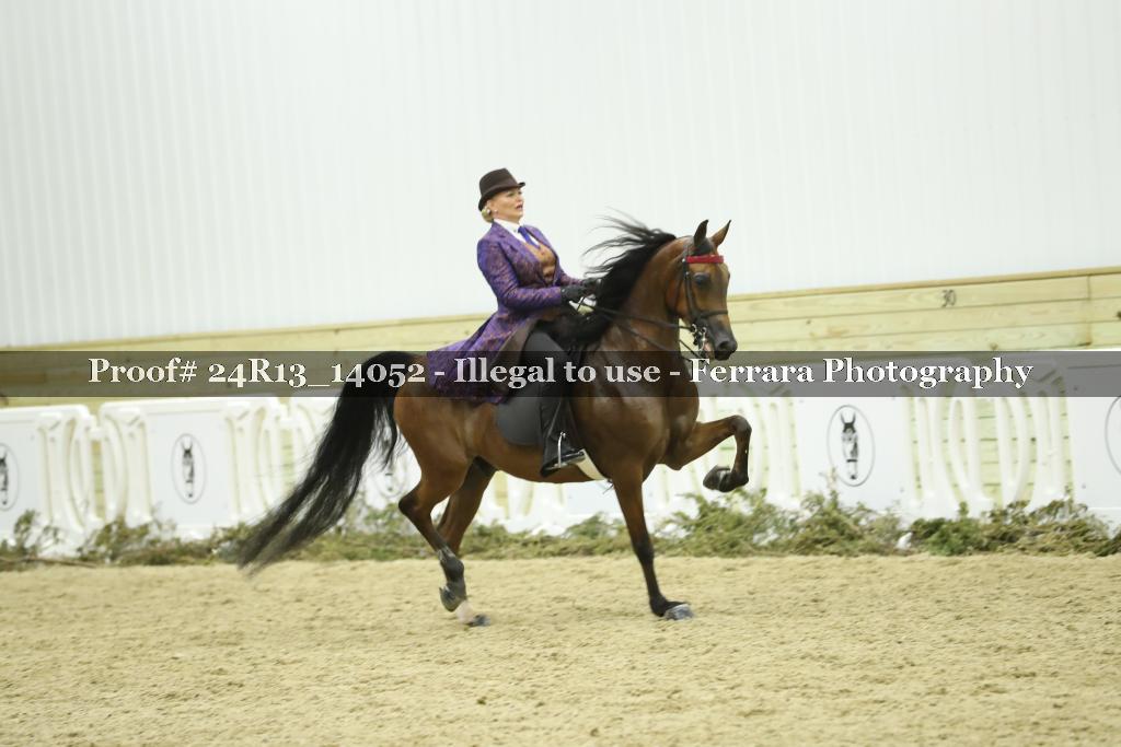 Proof Number 24R13_14052