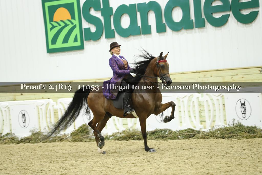 Proof Number 24R13_14053