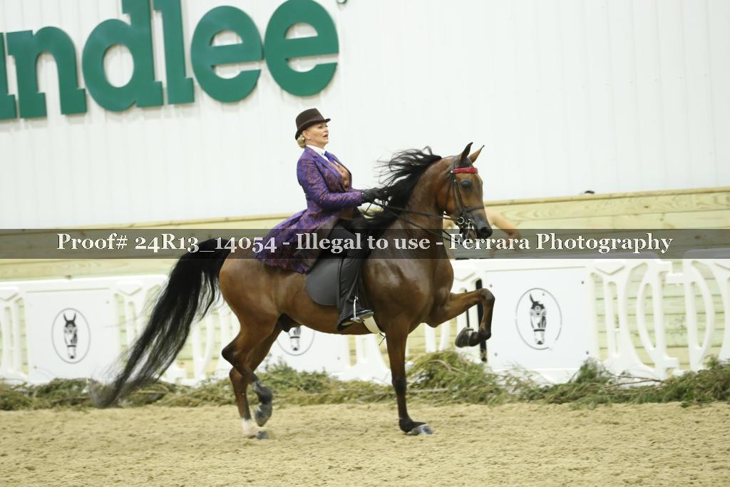Proof Number 24R13_14054
