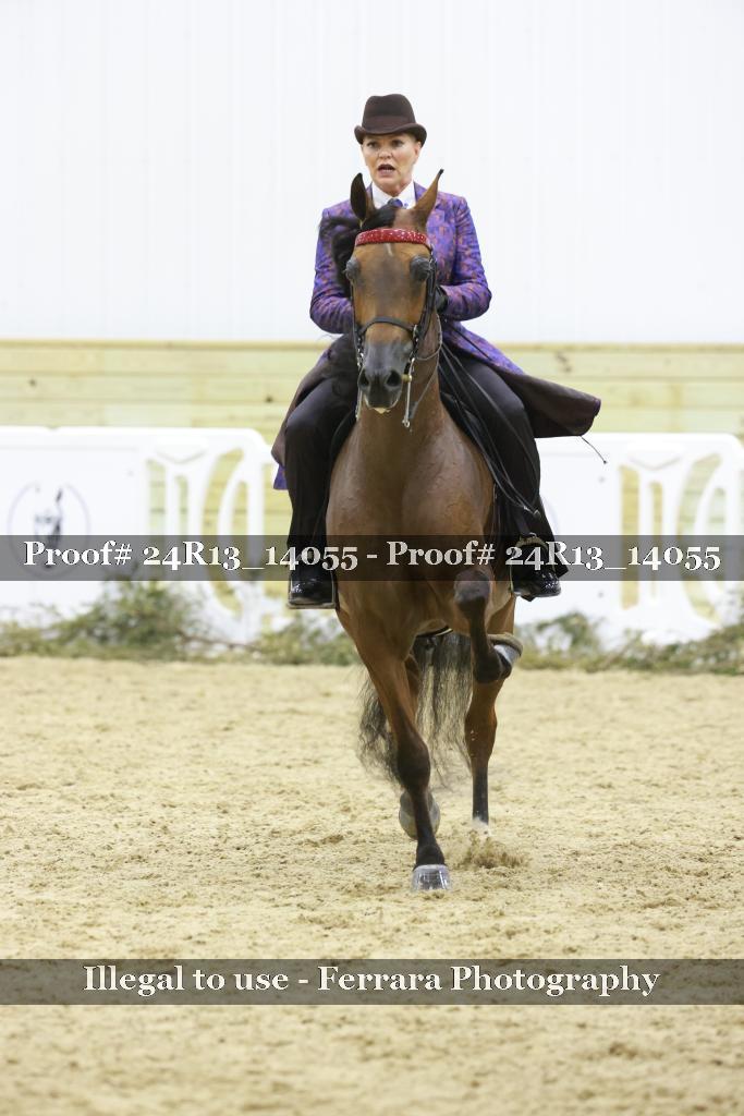 Proof Number 24R13_14055