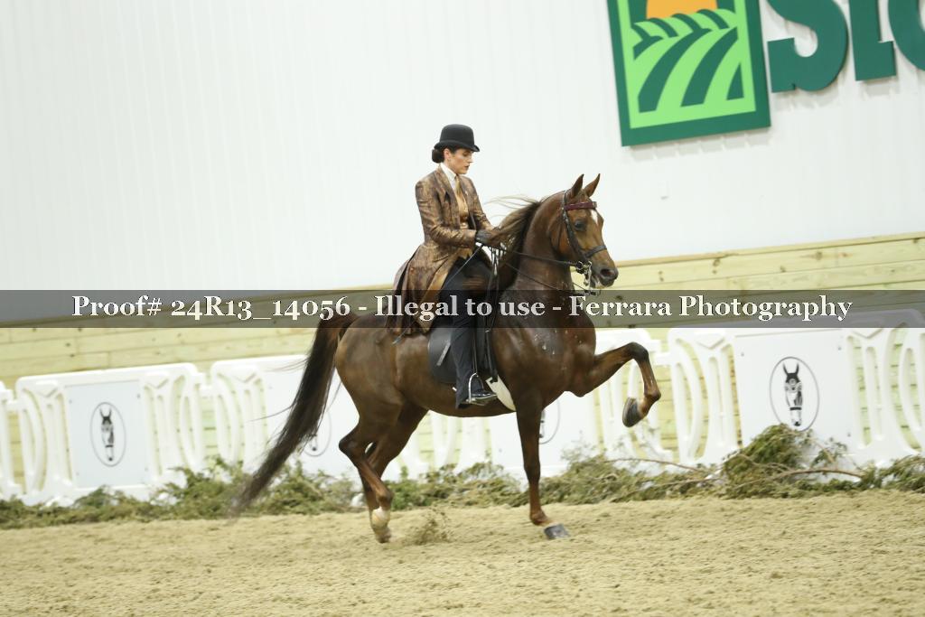 Proof Number 24R13_14056