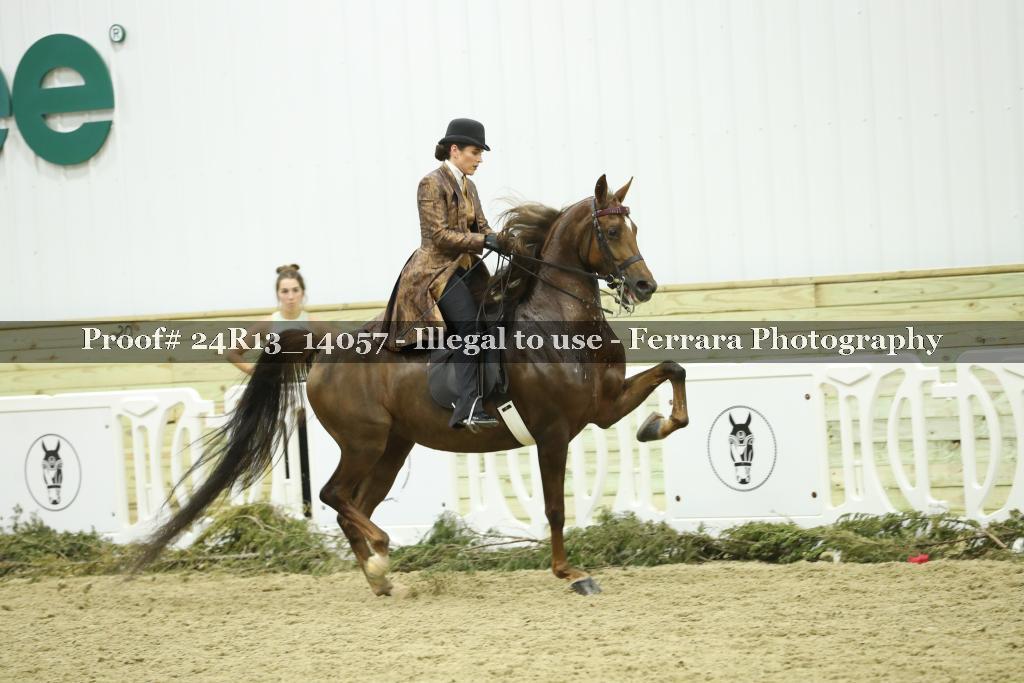 Proof Number 24R13_14057