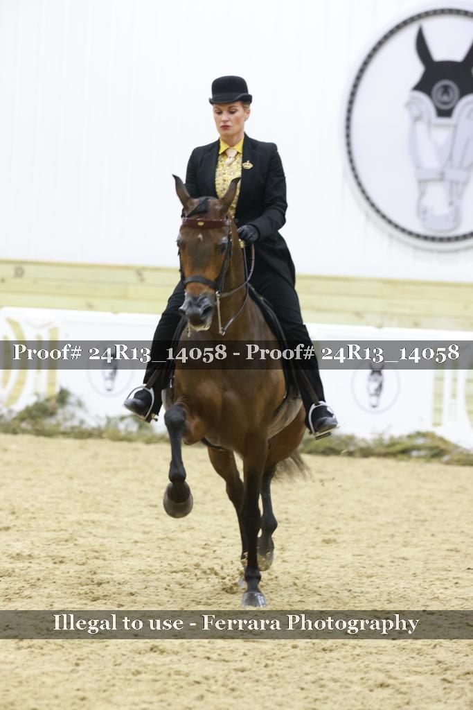 Proof Number 24R13_14058