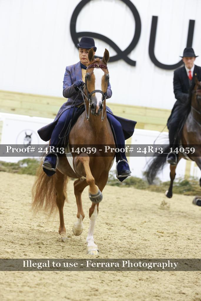 Proof Number 24R13_14059