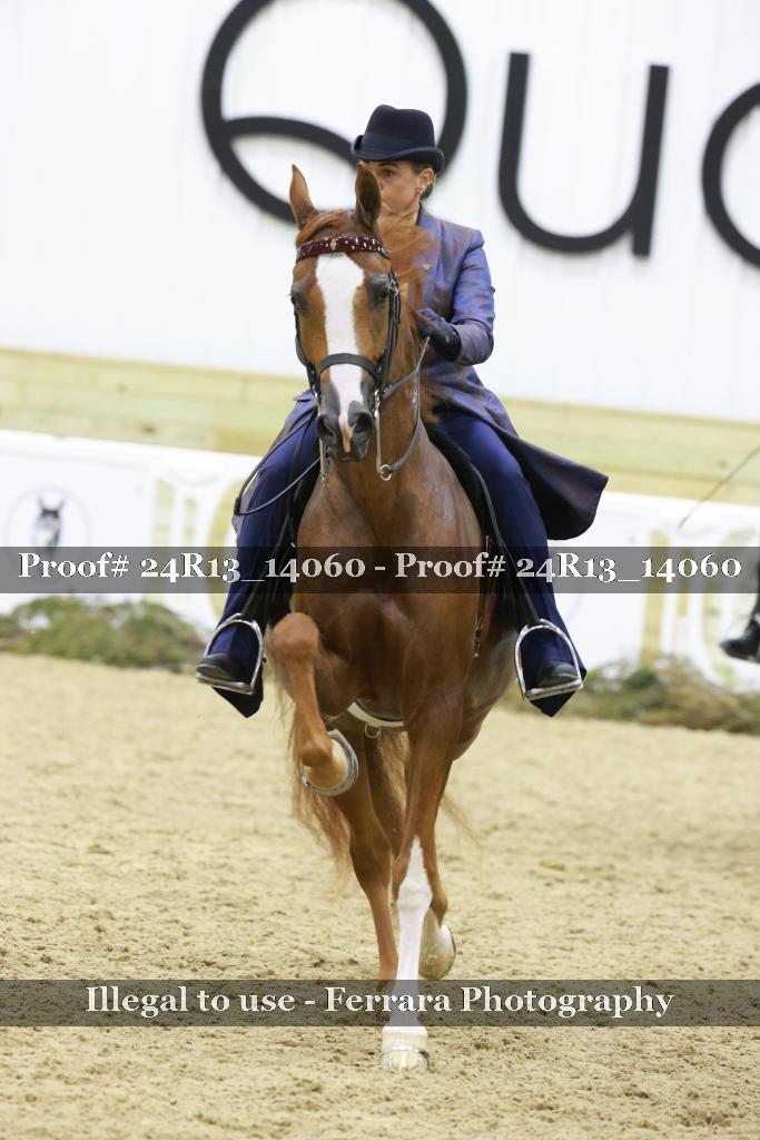Proof Number 24R13_14060