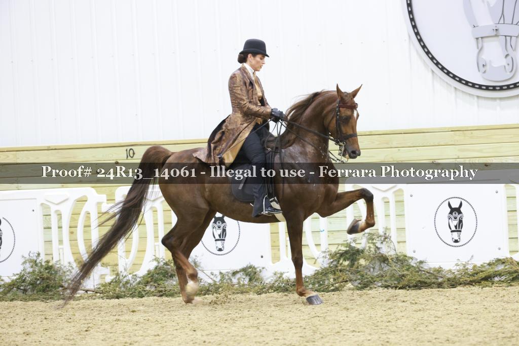 Proof Number 24R13_14061