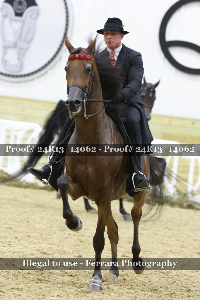 Proof Number 24R13_14062