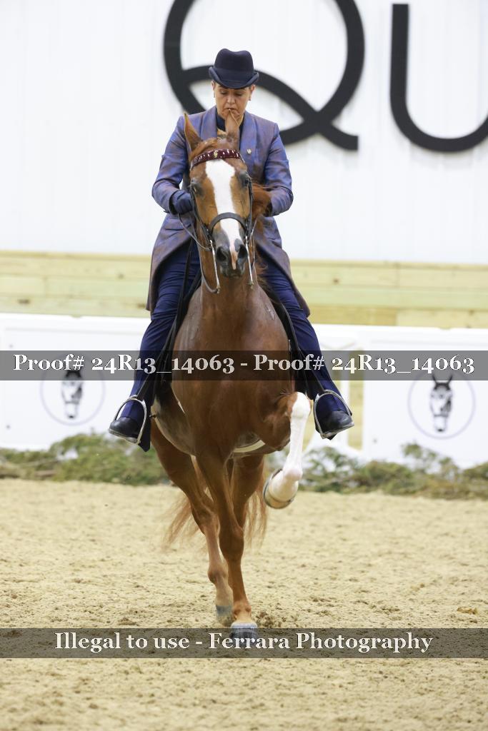 Proof Number 24R13_14063