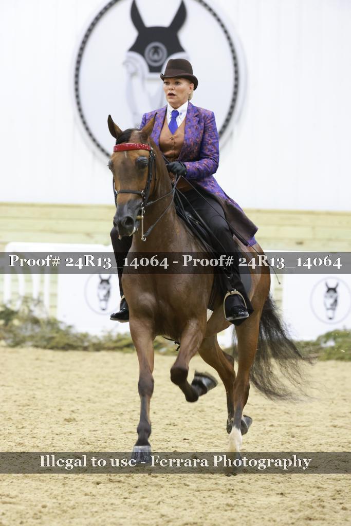 Proof Number 24R13_14064