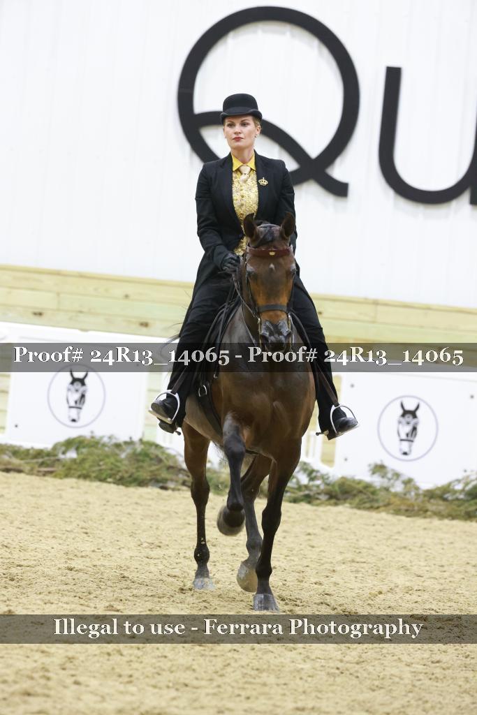 Proof Number 24R13_14065
