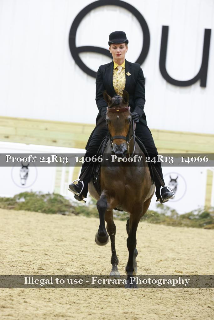 Proof Number 24R13_14066