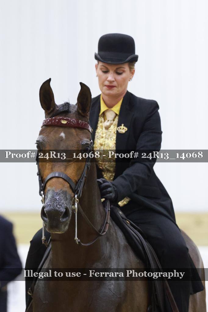 Proof Number 24R13_14068