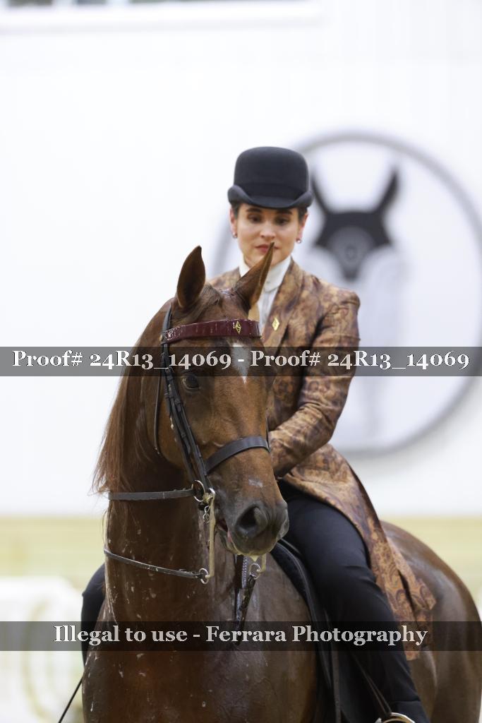 Proof Number 24R13_14069