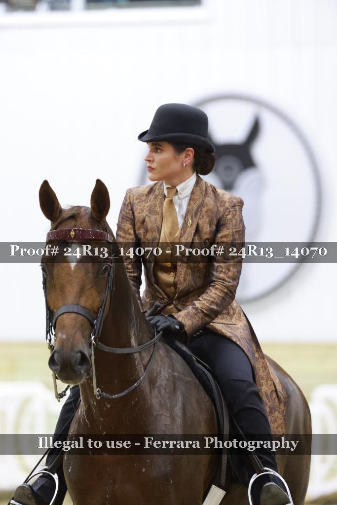 Proof Number 24R13_14070