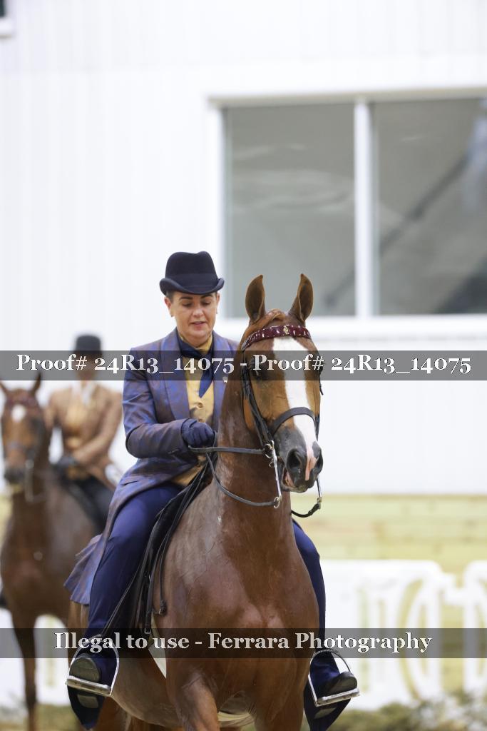 Proof Number 24R13_14075