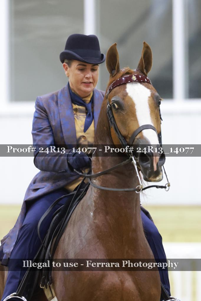 Proof Number 24R13_14077