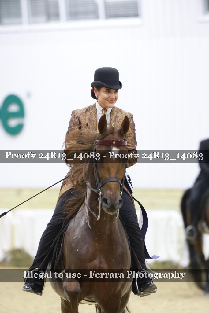 Proof Number 24R13_14083