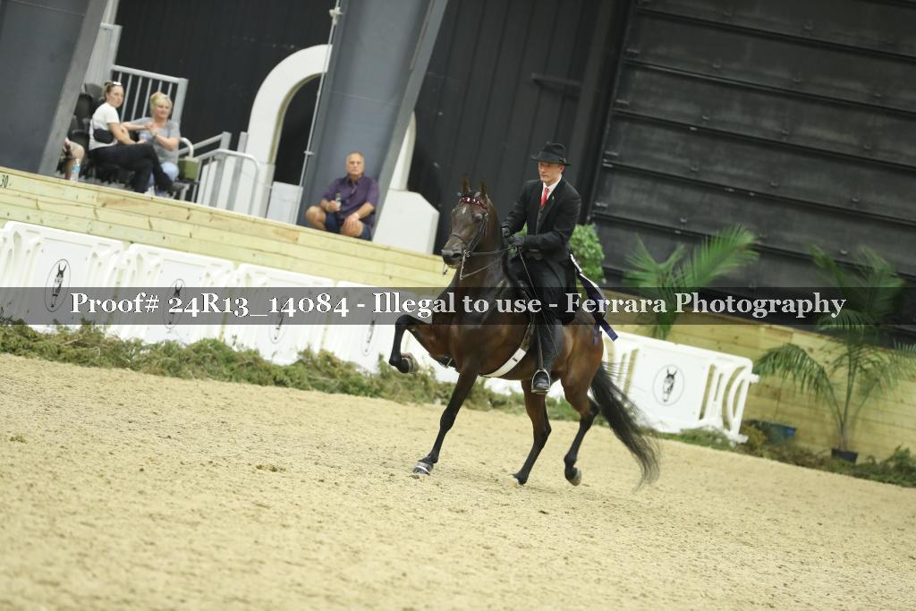 Proof Number 24R13_14084