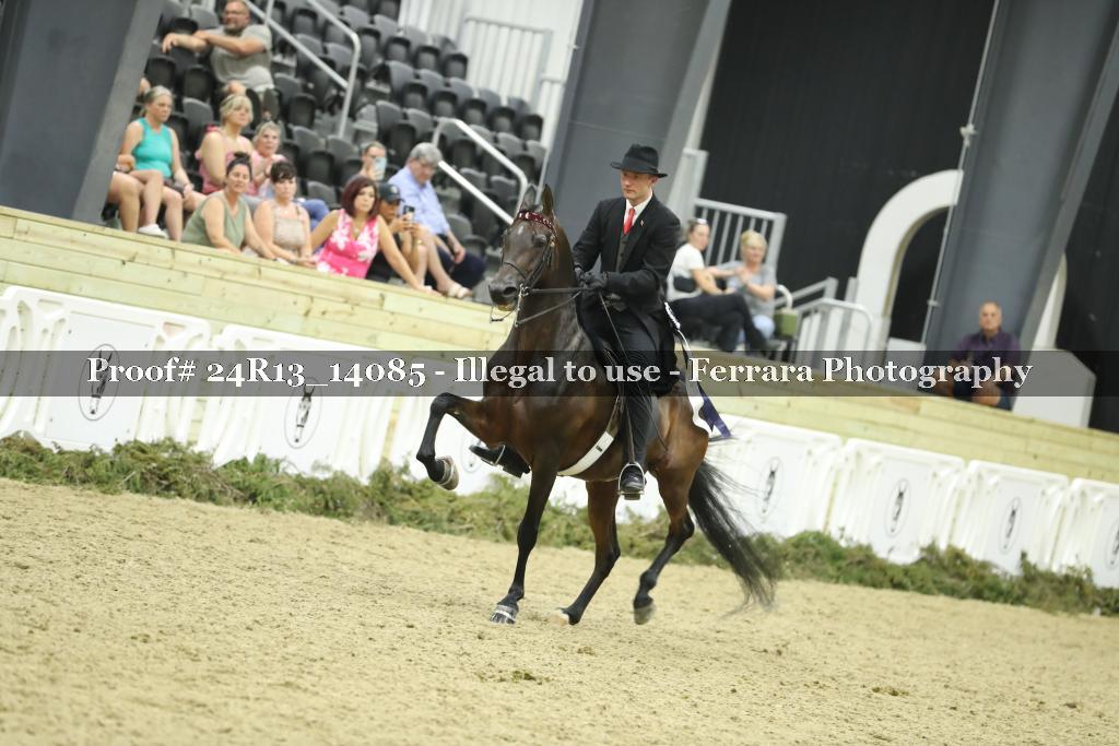 Proof Number 24R13_14085